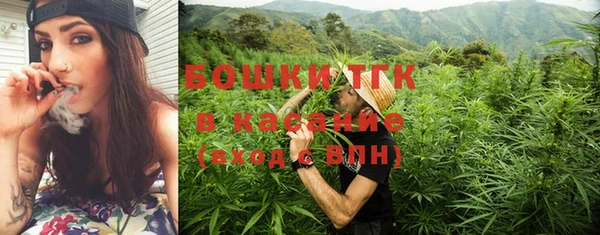 дживик Верея