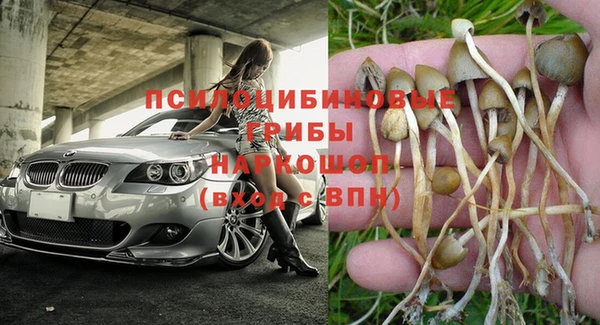 дживик Верея